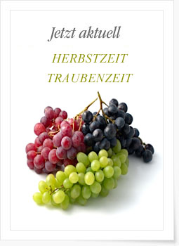 Jetzt aktuell ...