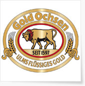 gold ochsen